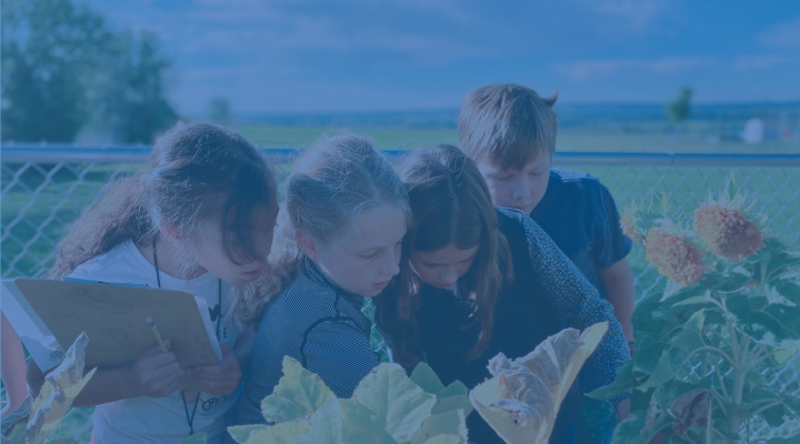 Summer Camps 2025 - Courses - BVSD Lifelong Learning